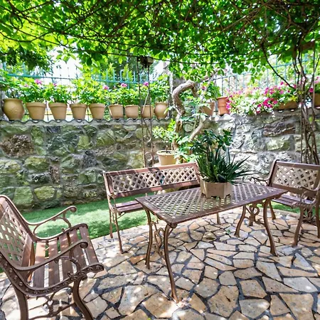 Suzi By Travel Pro Services - Halkidiki